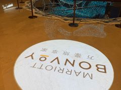 -郑州美盛喜来登大酒店