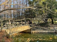 -上海共青森林公园