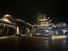 -雅达·阳羡溪山小镇中心