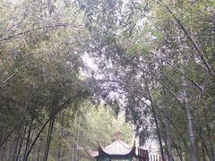 -陶祖圣境风景区