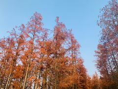 -凤凰沟景区