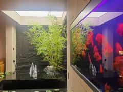 -宫七SPA·高端Massage(浦东大道店)