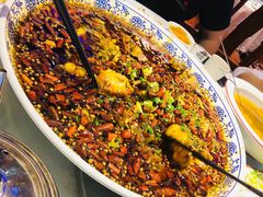 -新概念来凤鱼(璧山店)