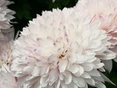 -汇龙潭
