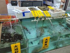 -寻味顺德·南记酒家·传统顺德菜·鱼生(广源路店)
