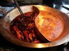 -辣伍鲜毛肚老火锅(元一店)