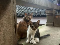 -狼山风景名胜区