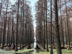 -渌洋湖湿地公园