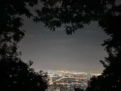 -惠山国家森林公园