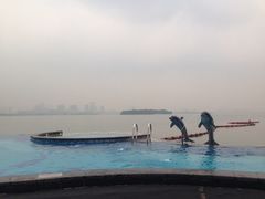 iphone_upload_pic-苏州金鸡湖中茵皇冠假日酒店