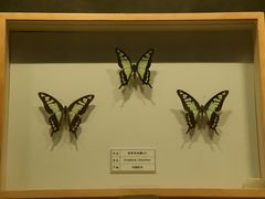 -四川宋瓷博物馆