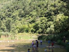 -白河湾生态旅游一条川