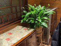 -西贝(六里桥旗舰店)