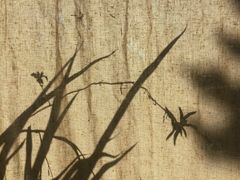 -时光花园(白鹭洲店)