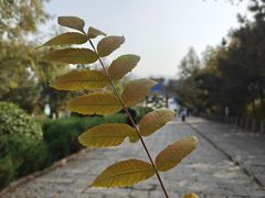-府君山公园