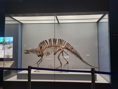 -湖南省地质博物馆