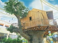 -杭州开元森泊度假乐园