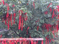 iphone_upload_pic-沕沕水生态风景区