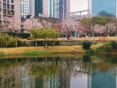 -西北湖绿化广场