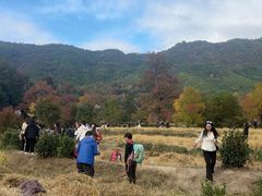 -塔川景区