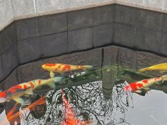 -西安市广仁寺