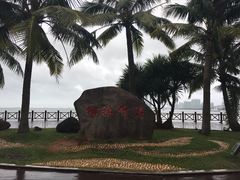 -万绿园