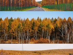 -塞罕坝国家级自然保护区