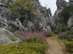 -千岛湖石林