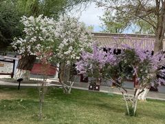 -张掖大佛寺景区