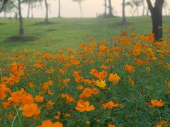 -钟山体育运动公园