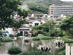 -舟山朱家尖威斯汀酒店·知味标帜自助餐厅