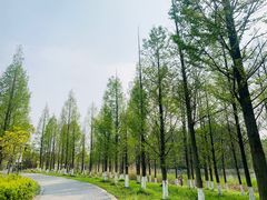 -苏州太湖国家湿地公园