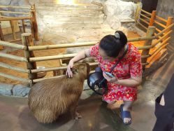 -Zoolung Zoolung动物主题公园(海信广场店)