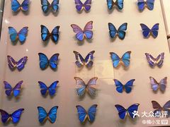-天津自然博物馆