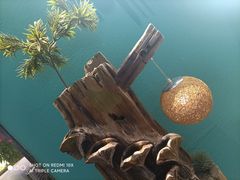 -蓉城小馆(科兴店)