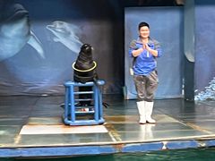 -苏州海洋馆