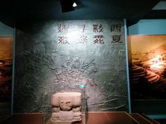-宁夏博物馆