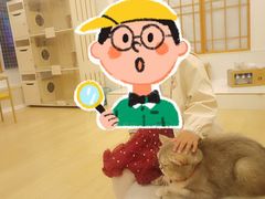 -Let's go狗咖·猫咖·奶狗·桌游(春熙路IFS店)