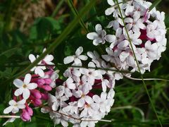 -小五台金河景区