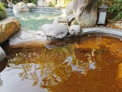 -水底山庄园温泉