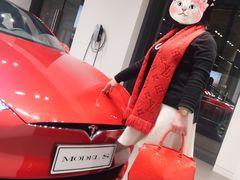 -TESLA 特斯拉(上海太古汇体验店)