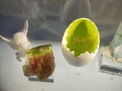 -湖南省地质博物馆