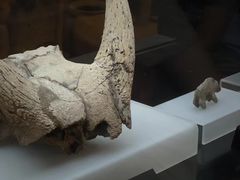 -河姆渡遗址博物馆