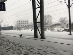 -阜阳站
