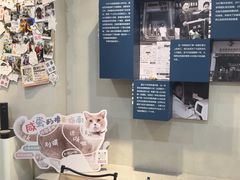 -伟伟宠物医院·CT影像中心·瑞派犬猫综合性门诊(汉口总院)