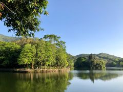 -深圳仙湖植物园