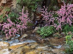 -湖洞水自然风景区