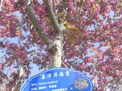 -元大都城垣遗址公园