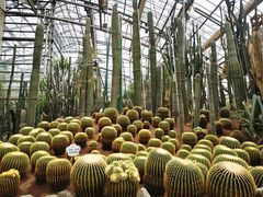 -南山植物园