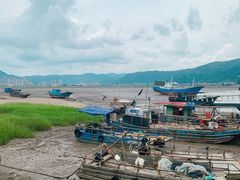 -北岐滩涂